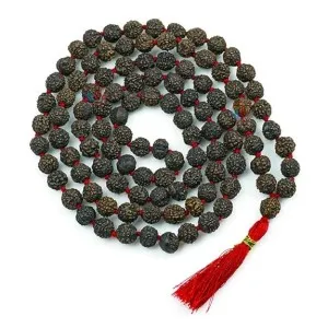 Black Rudraksha Mala