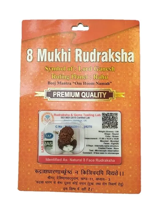 Rudraksha Brown Certificate Lab Test & X-ray Report with Silver Capping| Rudraksha Pendant