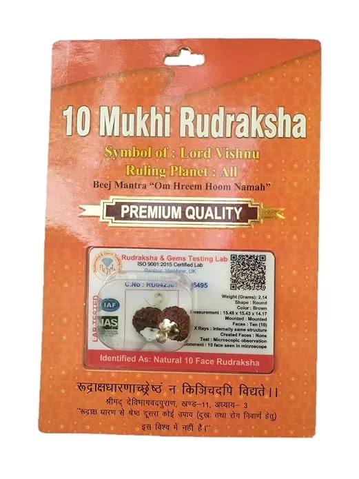 Rudraksha Brown Certificate Lab Test & X-ray Report with Silver Capping| Rudraksha Pendant